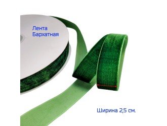 Бархатная лента 25 мм ЗЕЛЕНАЯ