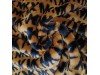 Мех искусственный набивной ОРАНЖЕВЫЙ С БУКВАМИ Мех искусственный набивной ОРАНЖЕВЫЙ С БУКВАМИ